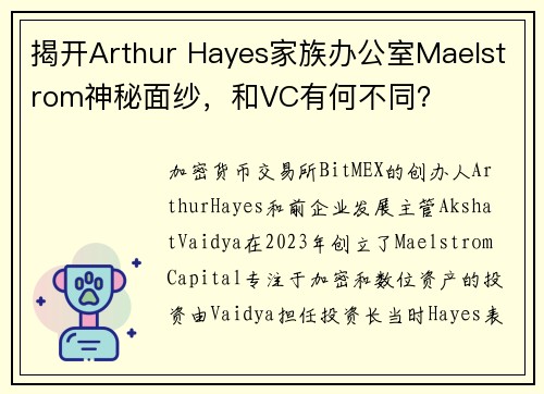揭开Arthur Hayes家族办公室Maelstrom神秘面纱，和VC有何不同？